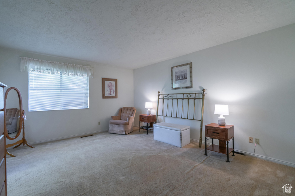 Bedroom with carpet flooring and a textured ceiling