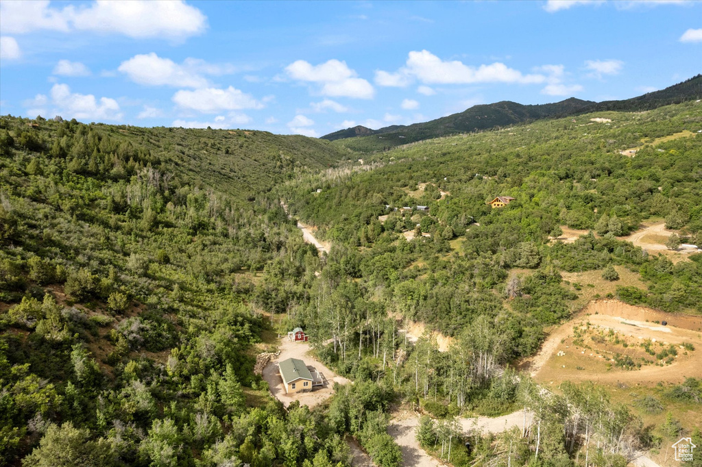 Mountain view with a heavily wooded area