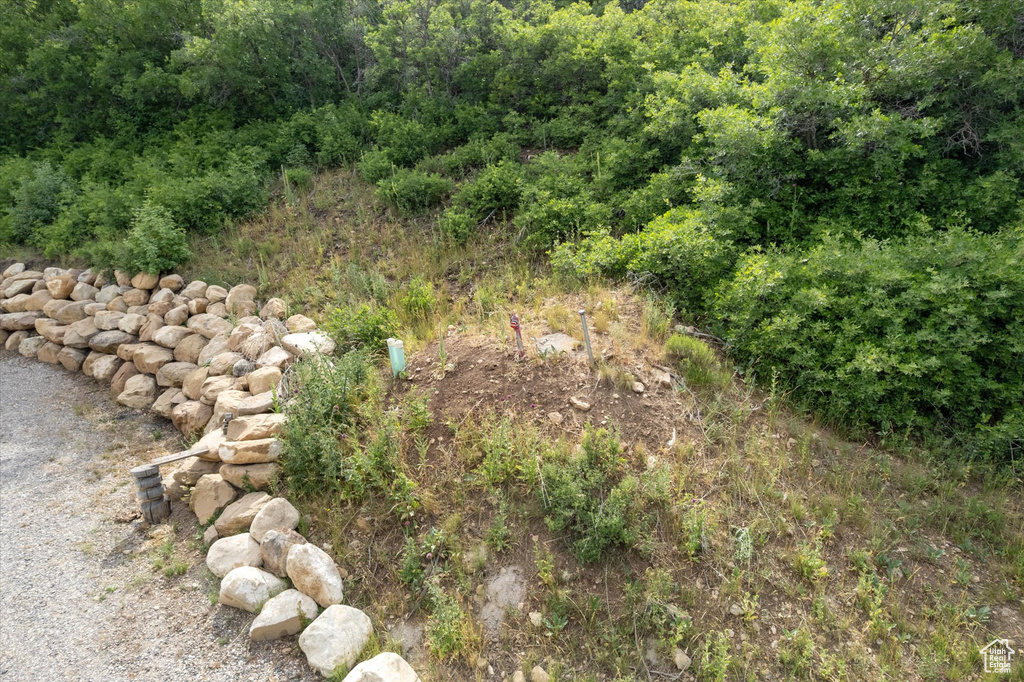 View of undeveloped land