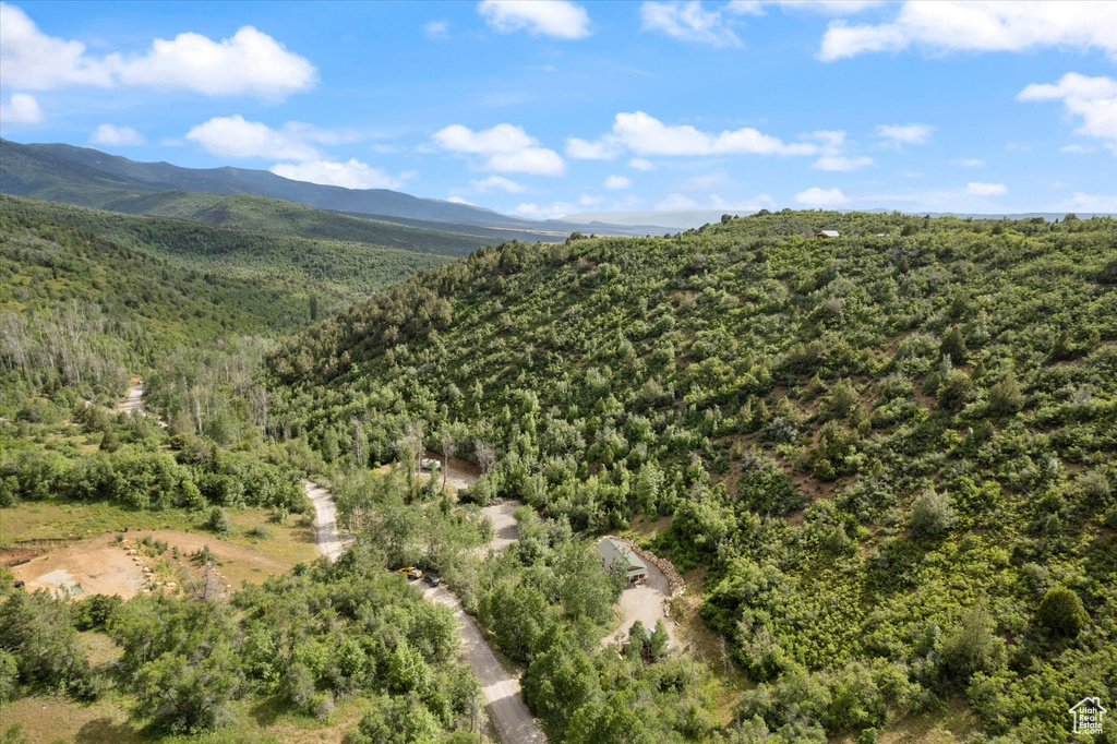 Mountain view featuring a forest