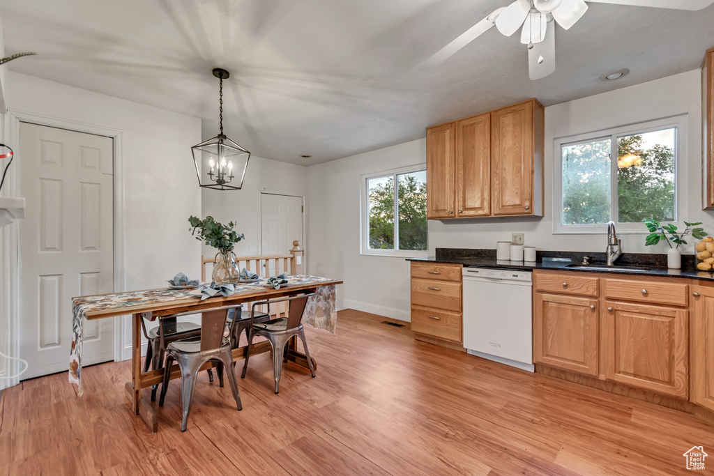 Kitchen featuring white dishwasher, dark countertops, plenty of natural light, and light wood-style flooring