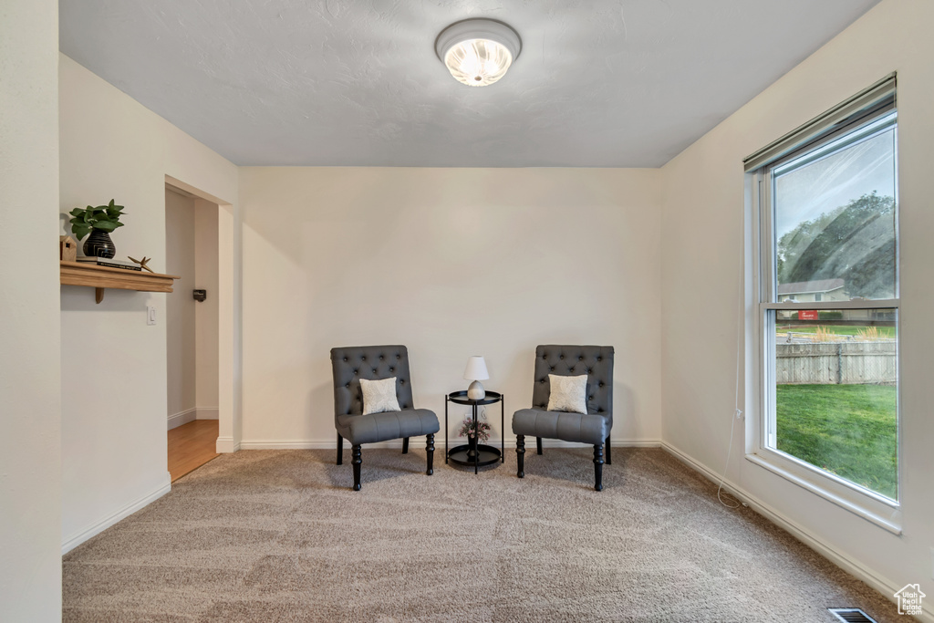Sitting room featuring healthy amount of natural light and carpet floors