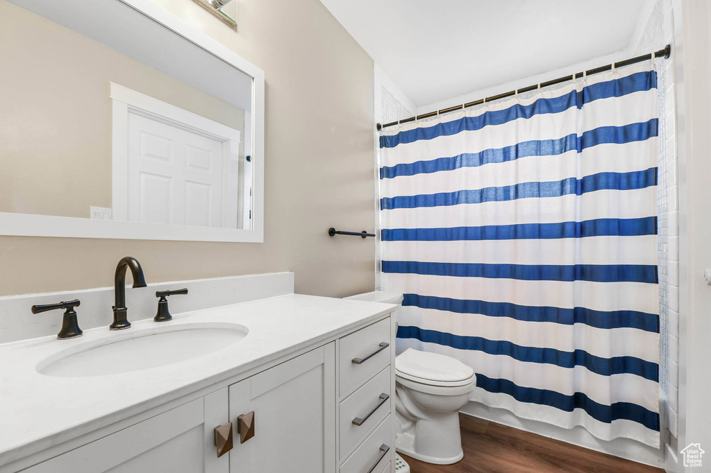 Bathroom with vanity, wood finished floors, and a shower with shower curtain