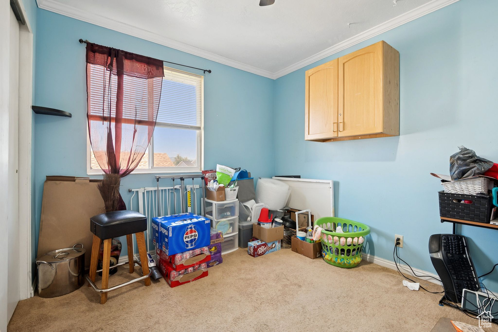 Recreation room featuring carpet and crown molding