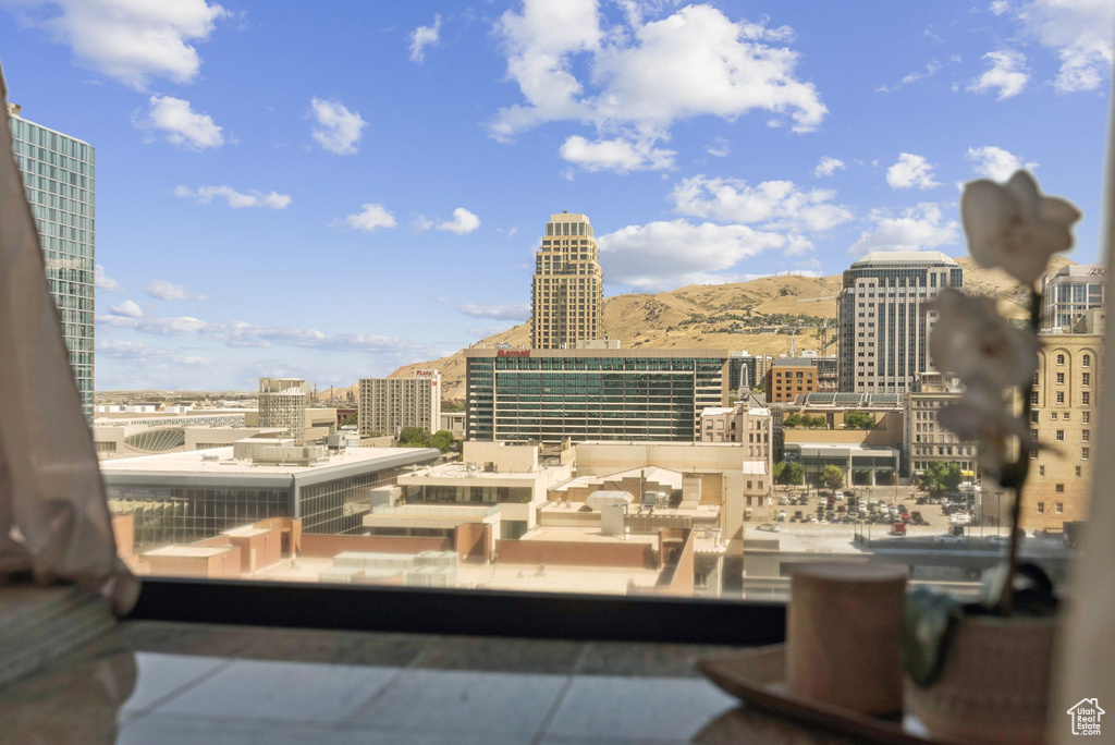 City view with mountains