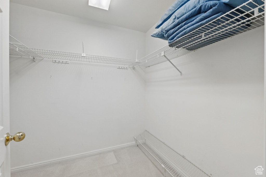 Spacious closet with carpet