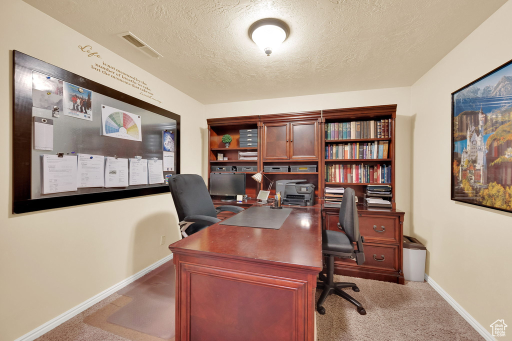 Office area with carpet floors and a textured ceiling