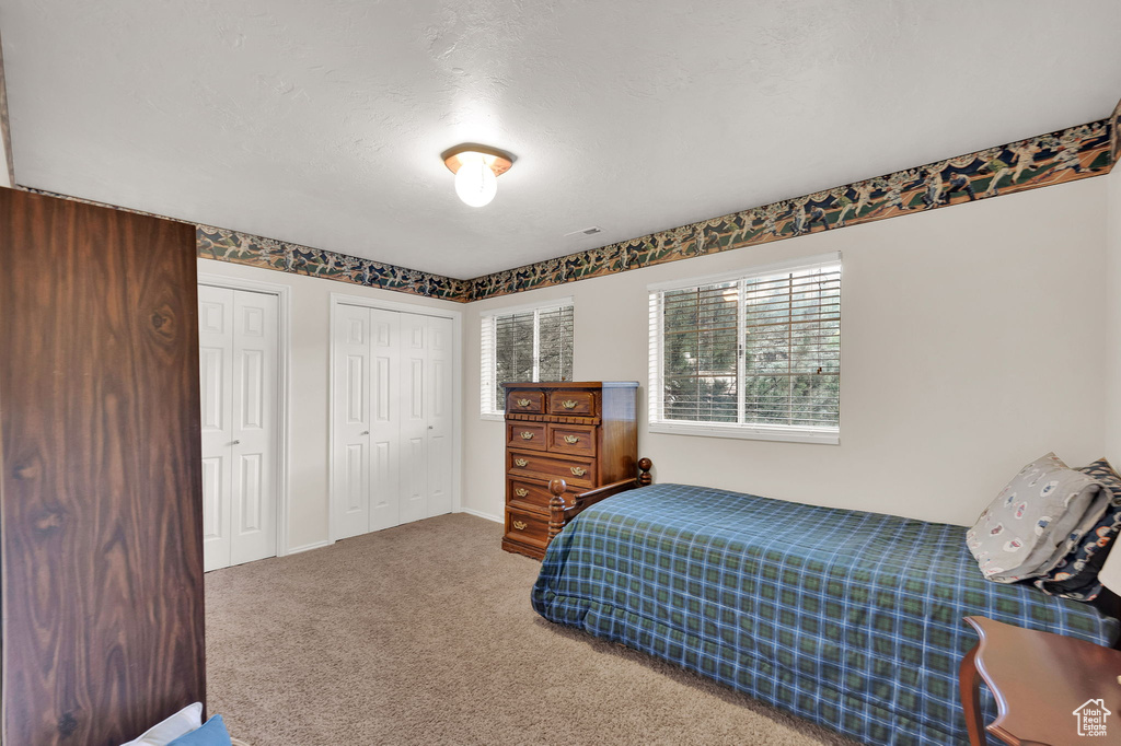 Bedroom with multiple closets, carpet floors, and multiple windows