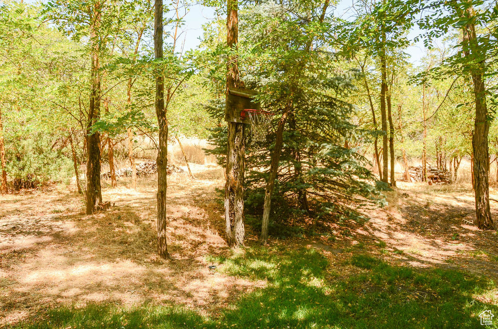 521 N GROVE DR Alpine, UT 84004