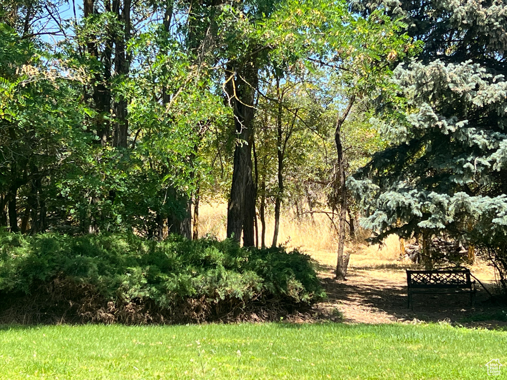521 N GROVE DR Alpine, UT 84004