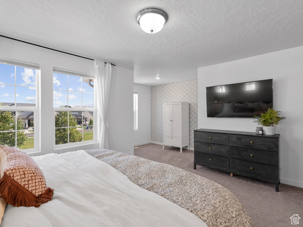 Bedroom featuring carpet and a textured ceiling