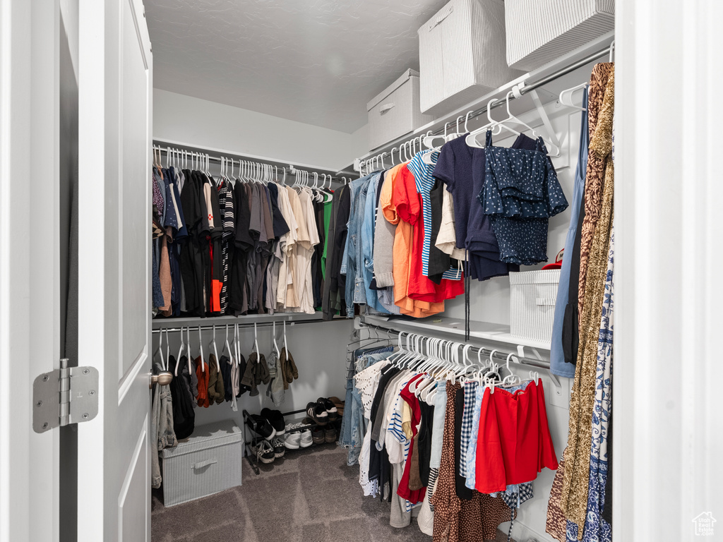 Walk in closet with carpet flooring