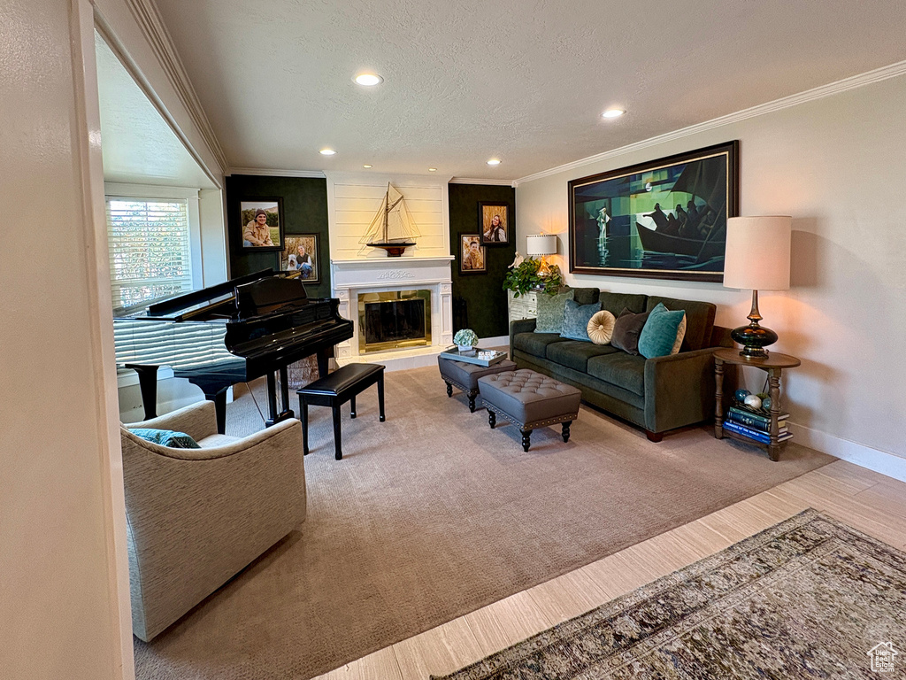 Living area featuring crown molding, recessed lighting, wood finished floors, a large fireplace, and a textured ceiling