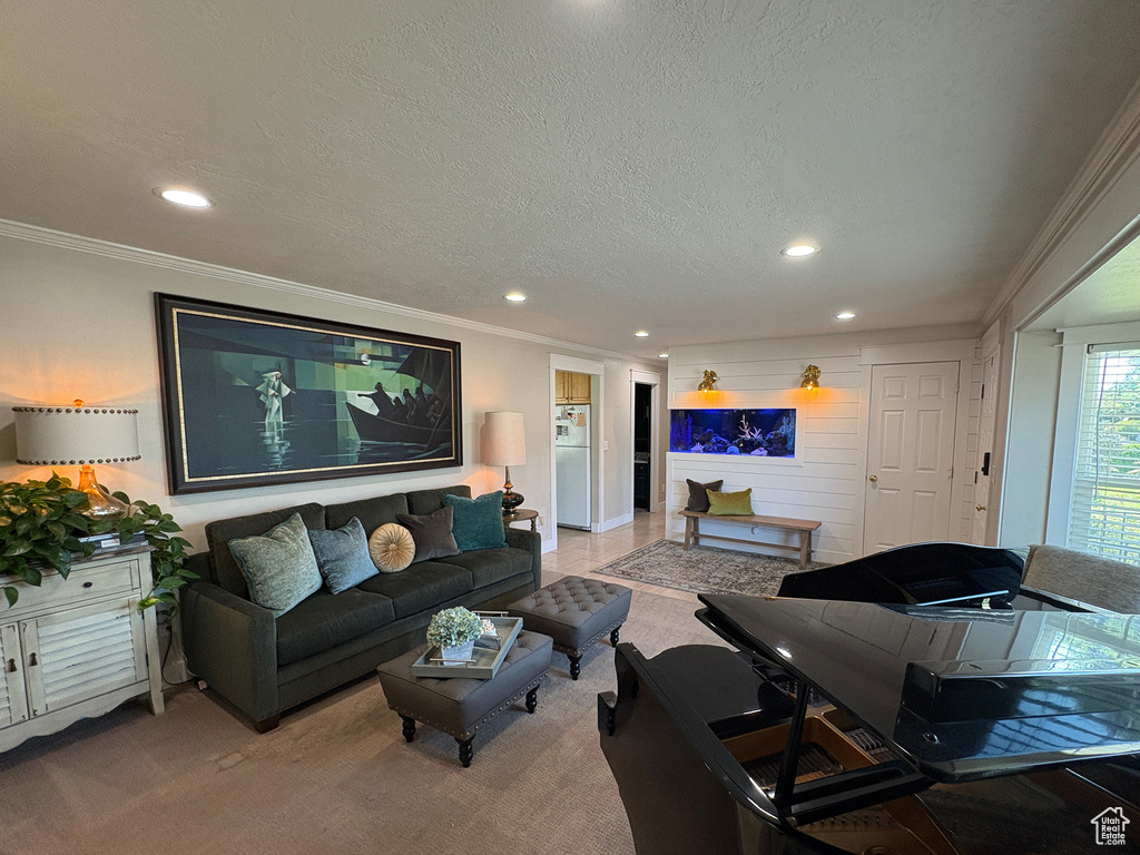 Living area featuring crown molding, recessed lighting, a textured ceiling, and light carpet