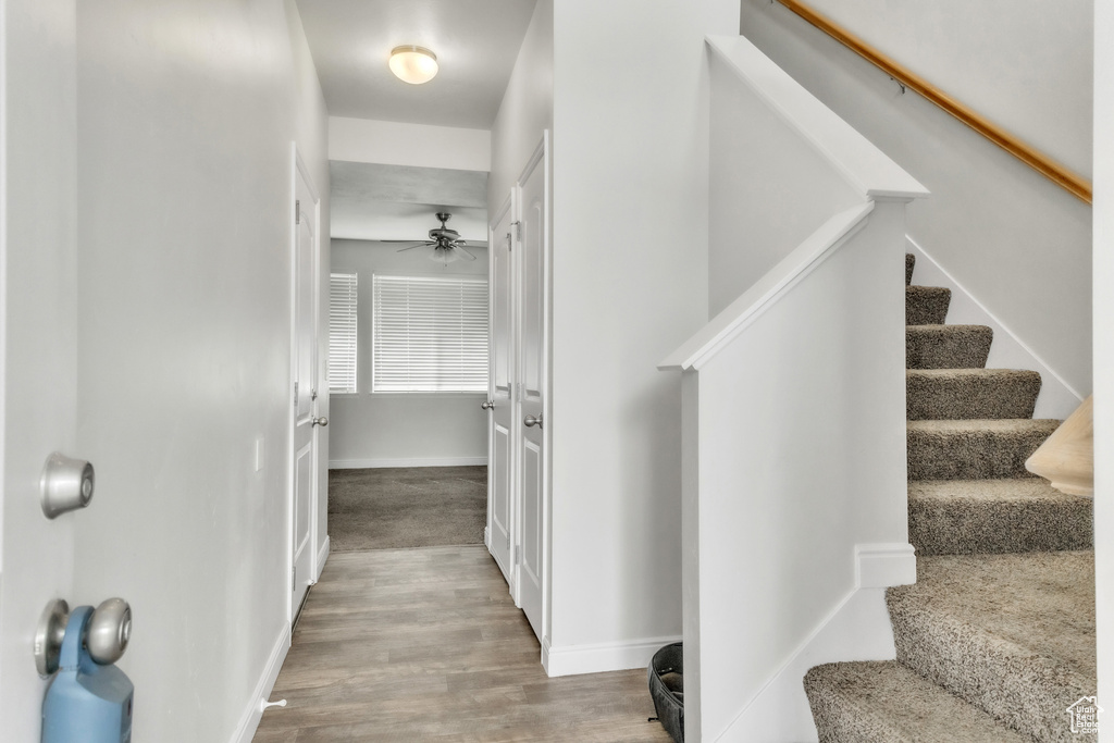 14292 S AUTUMN PATH LN Riverton, UT 84096