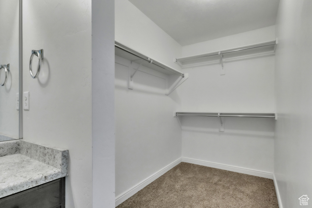 14292 S AUTUMN PATH LN Riverton, UT 84096