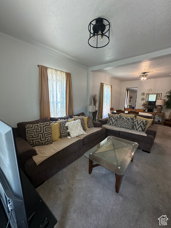 Living room featuring plenty of natural light, carpet flooring, and a textured ceiling