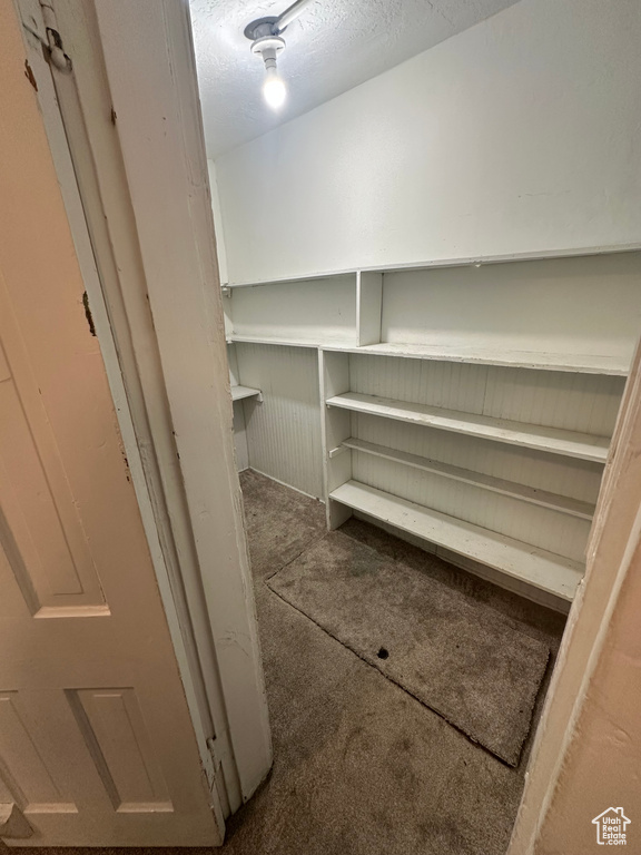 Spacious closet featuring carpet flooring