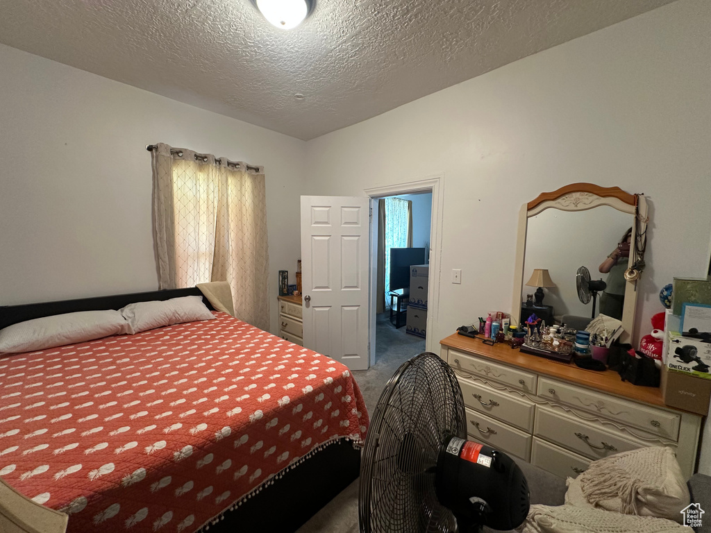 Carpeted bedroom featuring multiple windows and a textured ceiling