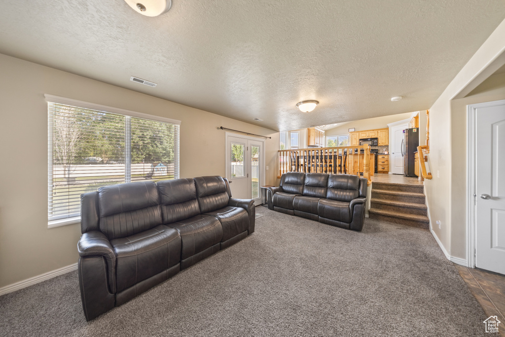 Living room featuring a textured ceiling and dark carpet