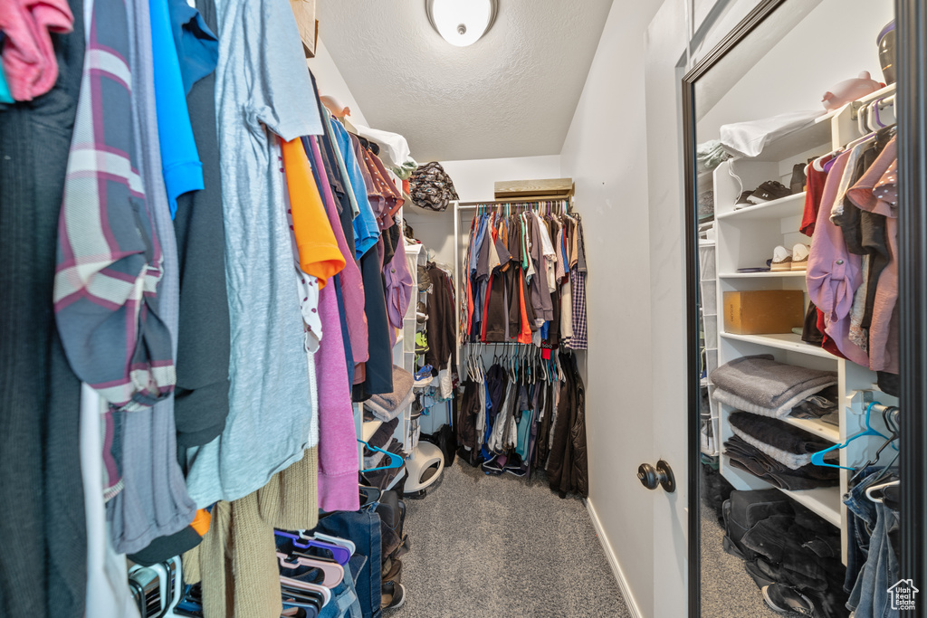 Walk in closet with carpet floors