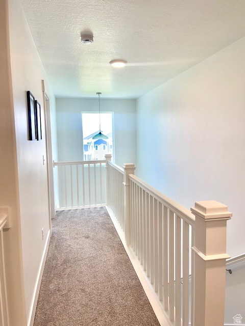 4542 PARKES PEAK LN Riverton, UT 84096