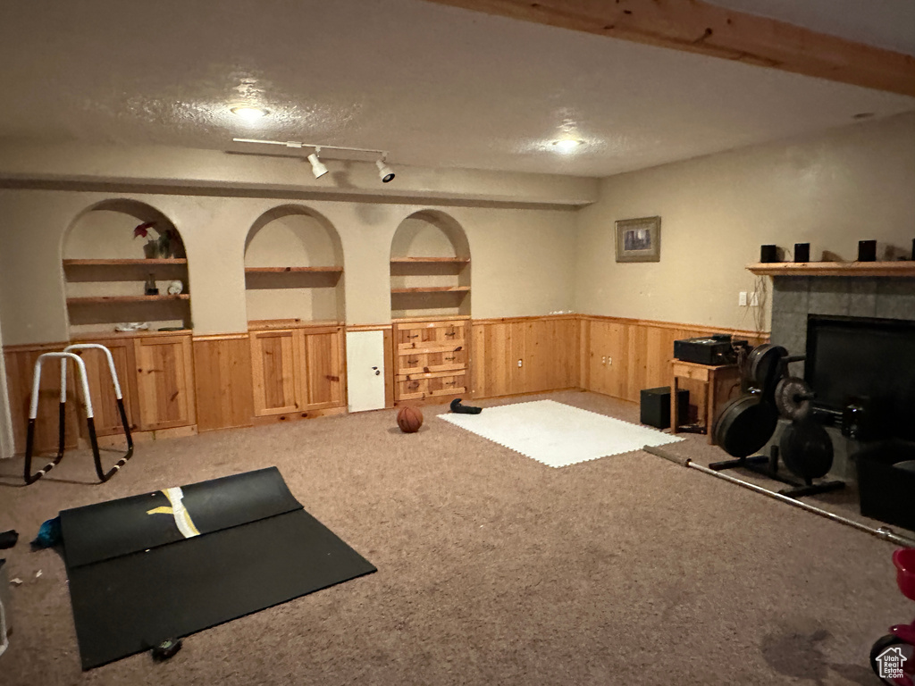 Workout area with a wainscoted wall, built in features, light carpet, wood walls, and a fireplace