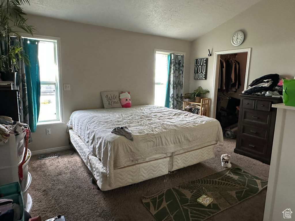 Bedroom with carpet flooring, multiple windows, a spacious closet, and a textured ceiling