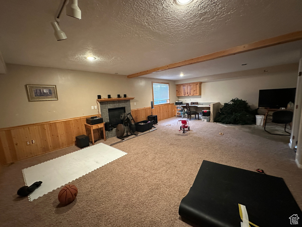 Workout room with wainscoting, wood walls, a textured ceiling, carpet floors, and a tile fireplace