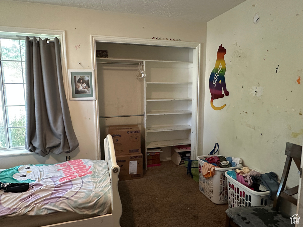Carpeted bedroom featuring multiple windows and a closet