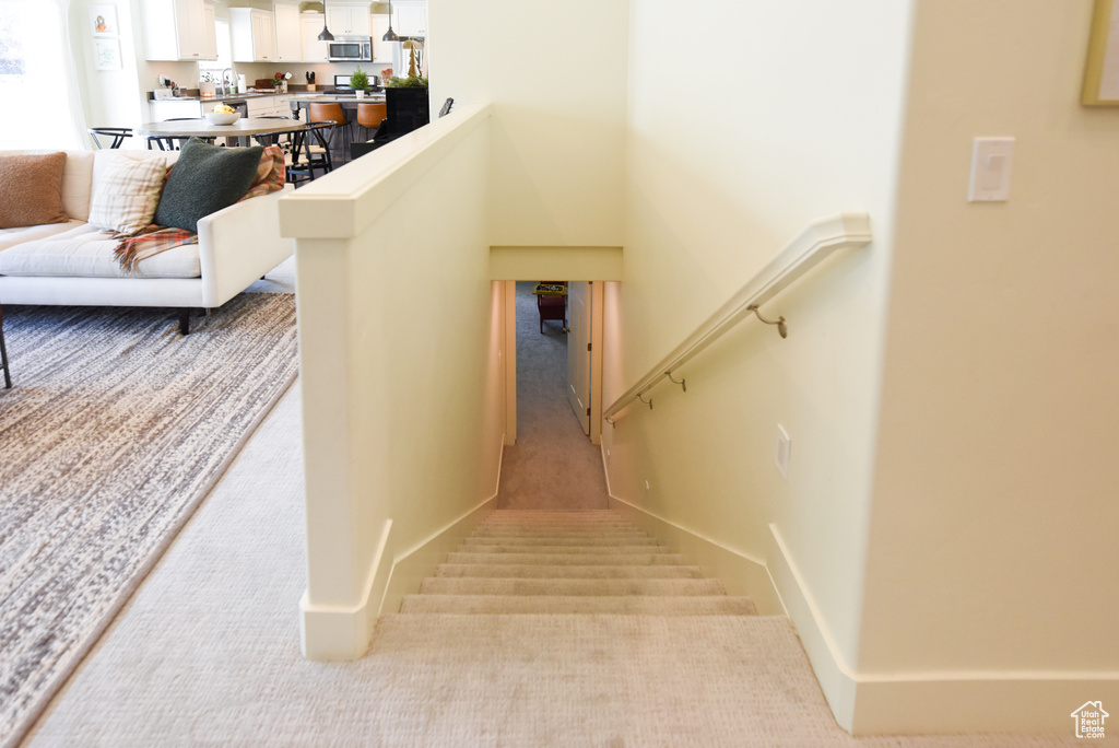 Stairway featuring carpet