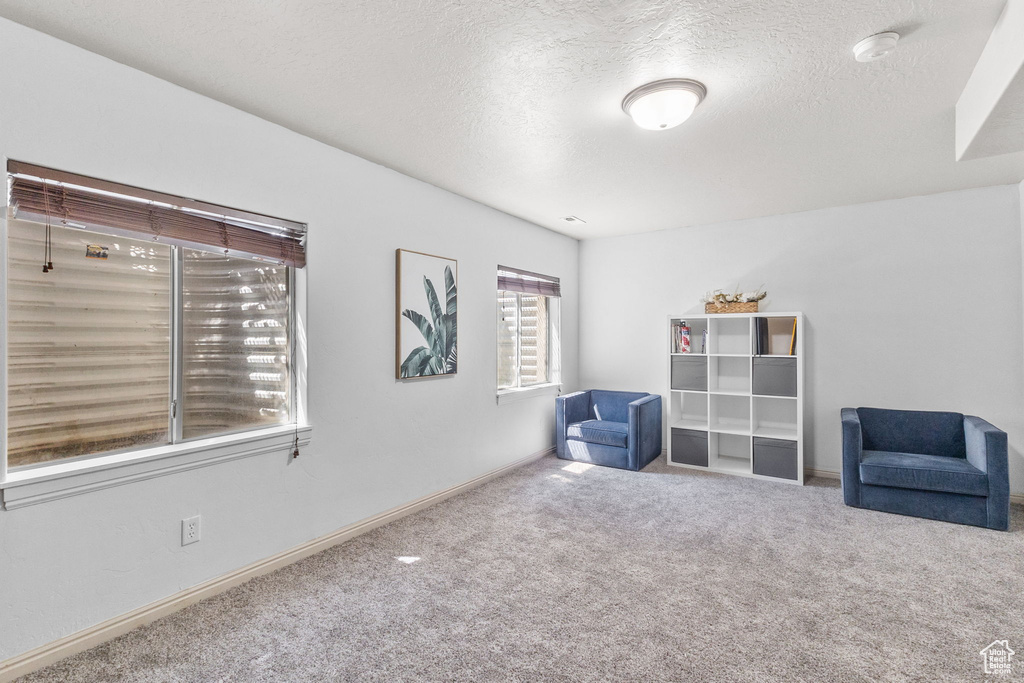 Unfurnished room with carpet flooring and a textured ceiling