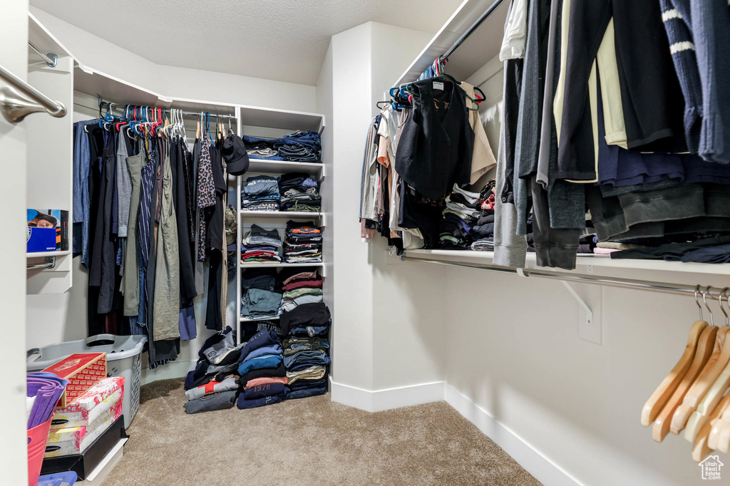 Spacious closet featuring carpet flooring