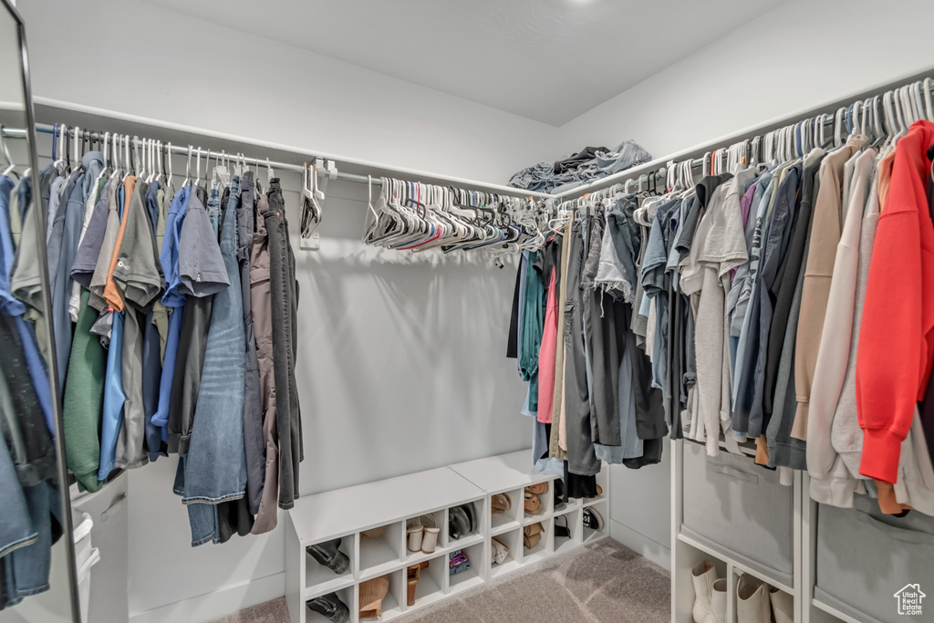 Spacious closet with carpet flooring