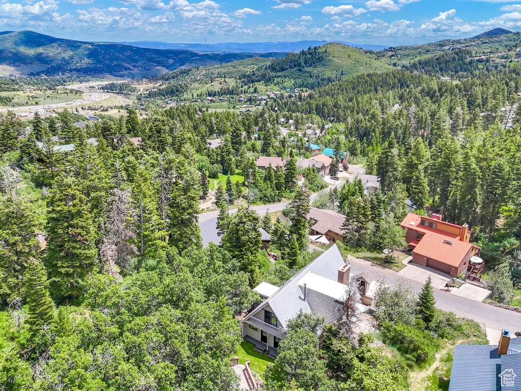 575 UPPER EVERGREEN DR Park City, UT 84098