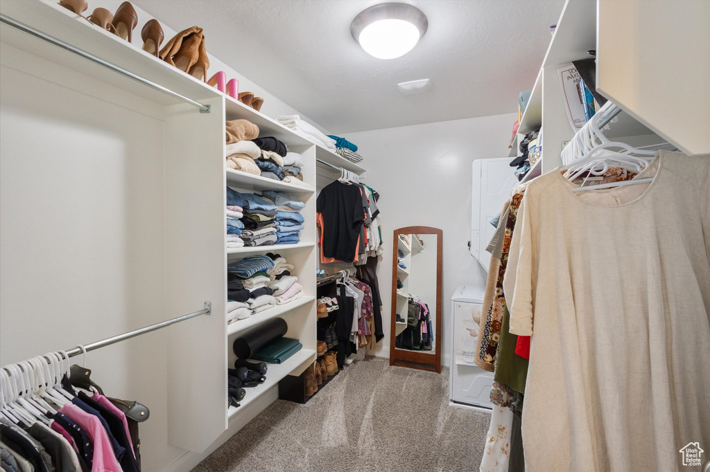 Spacious closet featuring carpet floors