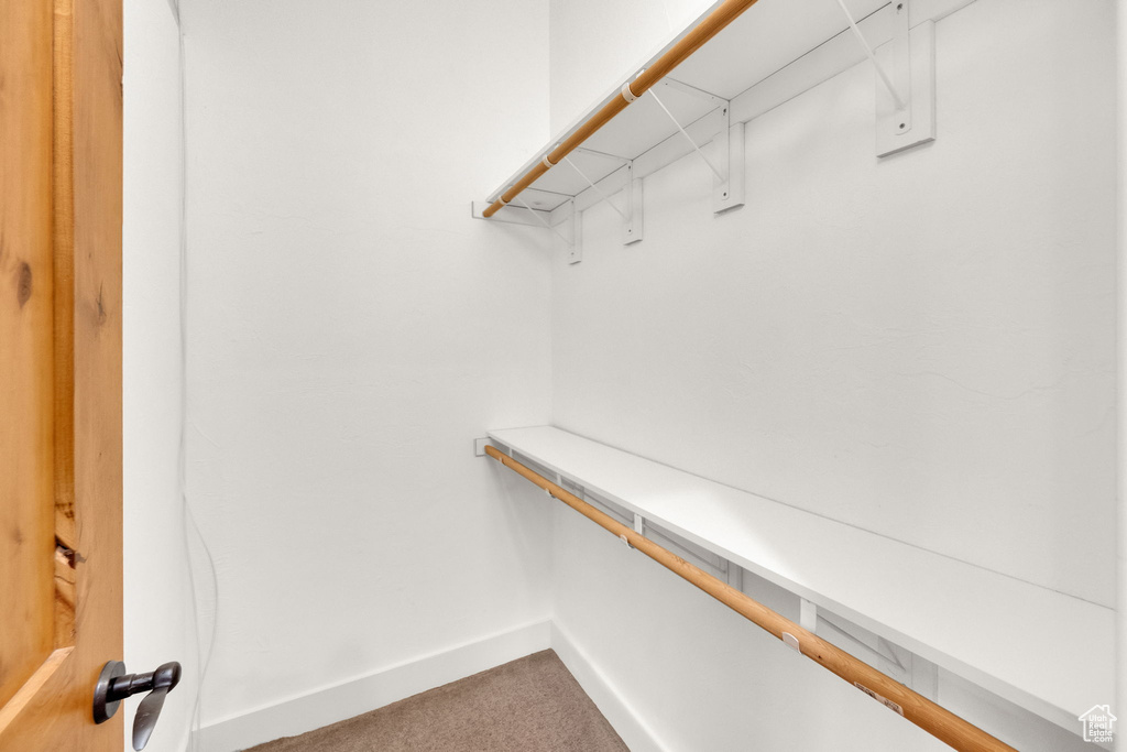 Walk in closet featuring carpet