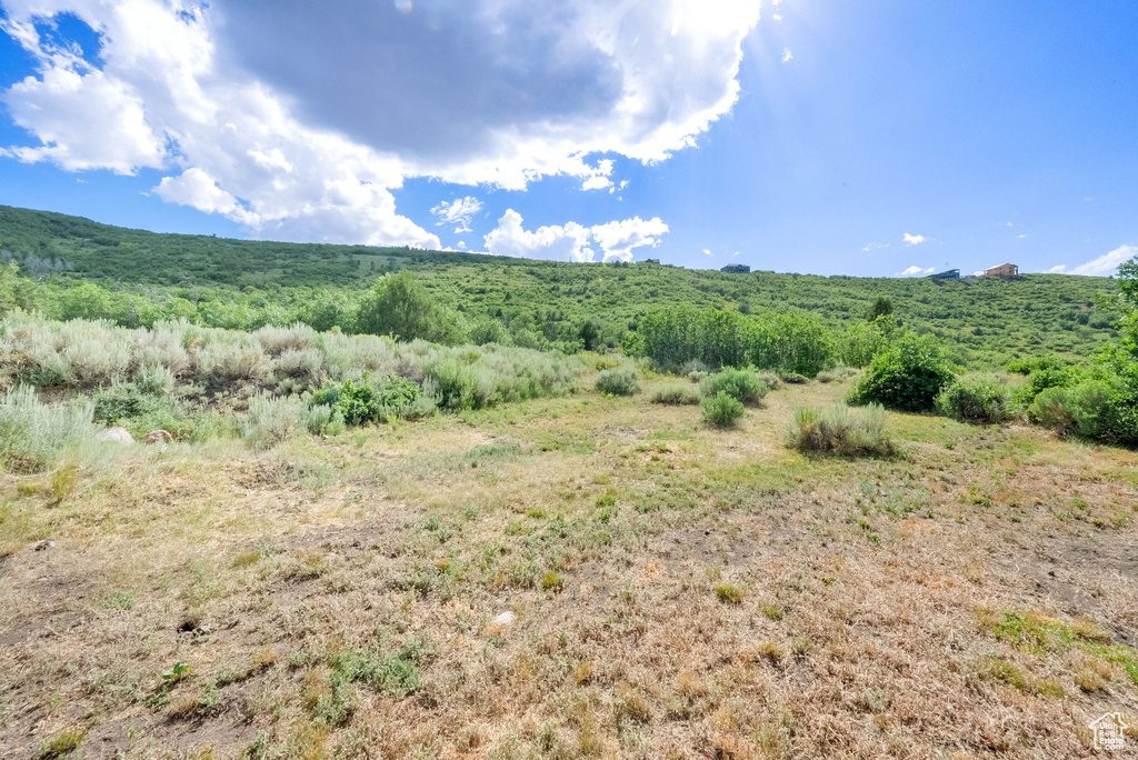 View of mountain background