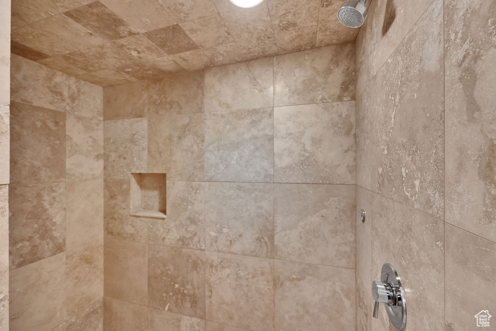 Bathroom view of a tile shower