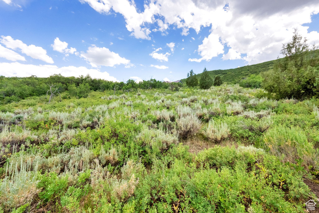 View of undeveloped land