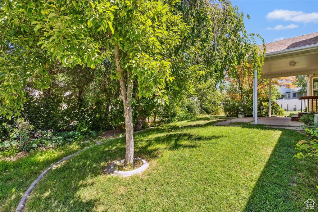 243 E 425 S Kaysville, UT 84037