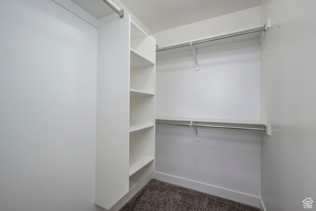Spacious closet featuring carpet floors