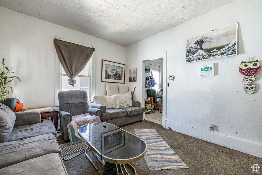 Living room with carpet floors