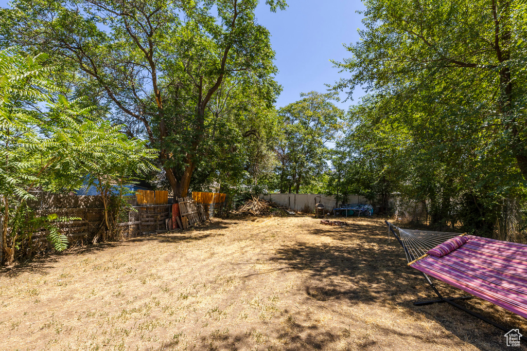 View of fenced backyard