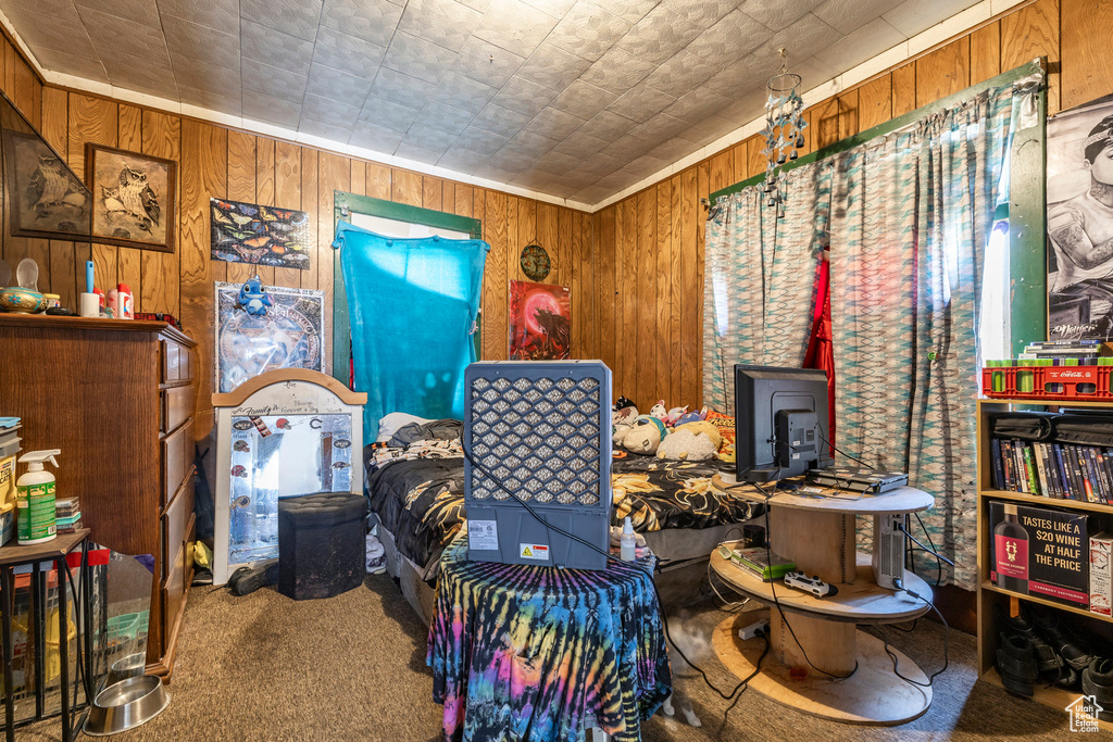 Interior space featuring wood walls, a wood stove, and carpet flooring