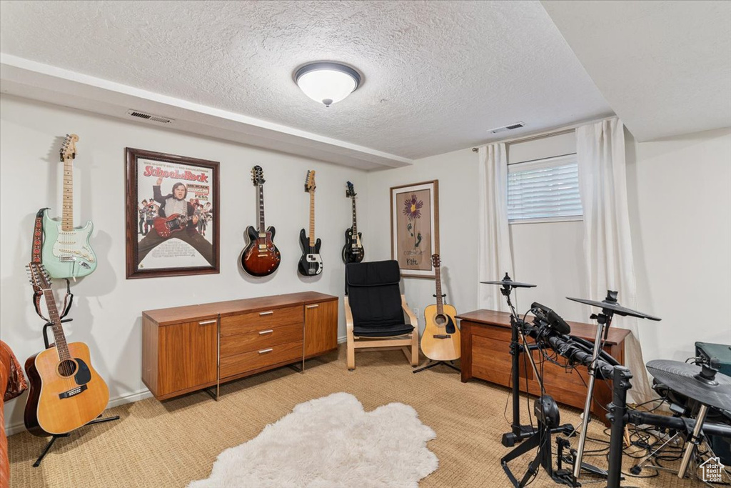 Office featuring light colored carpet and a textured ceiling