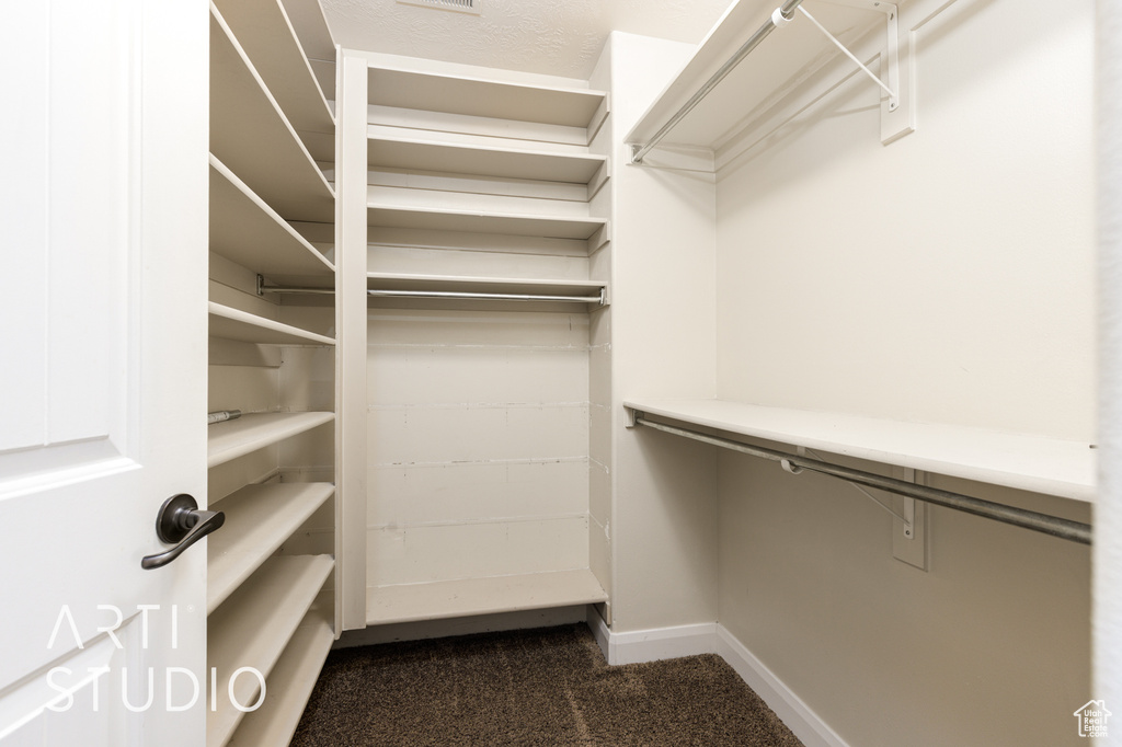 Spacious closet with dark colored carpet