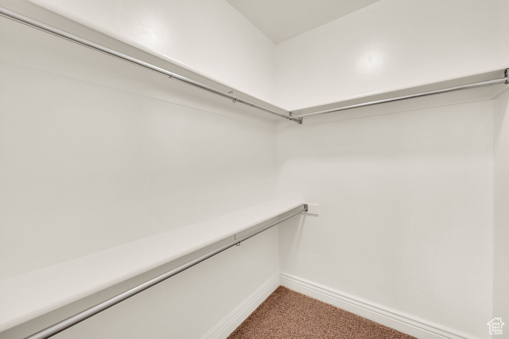 Walk in closet featuring carpet floors