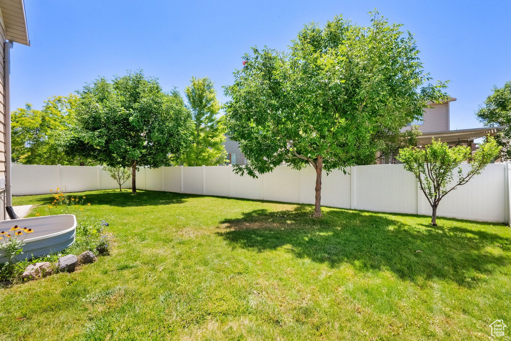 View of fenced backyard