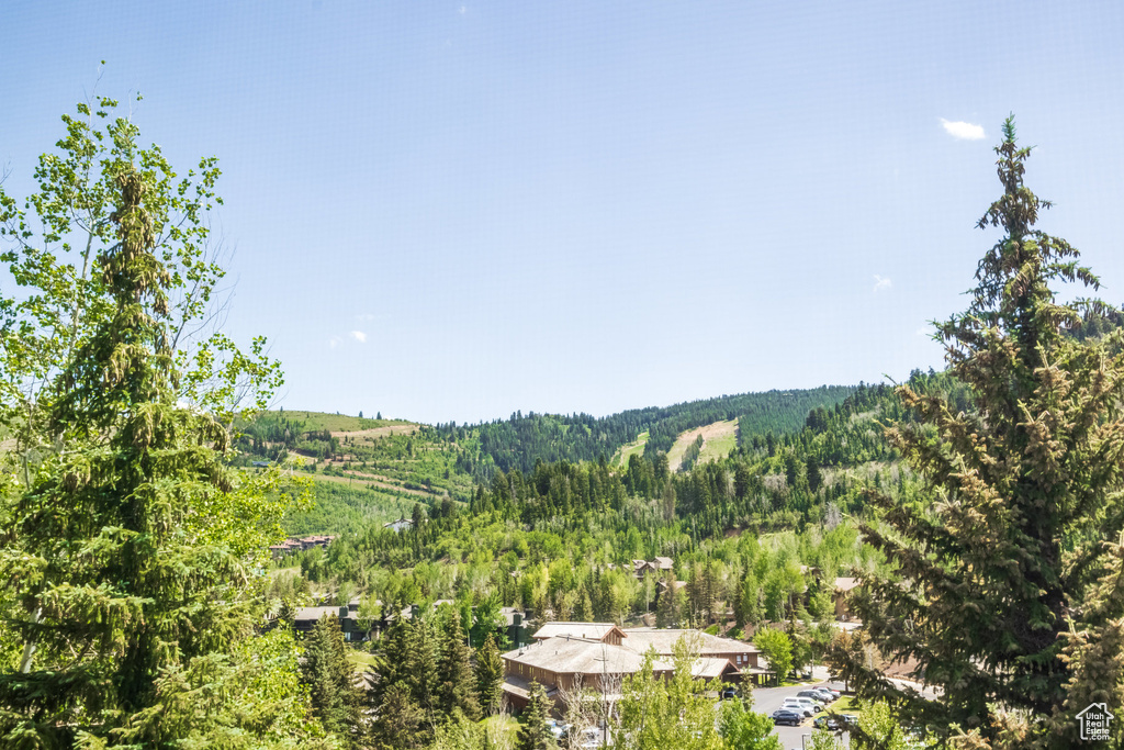View of mountain backdrop featuring a forest